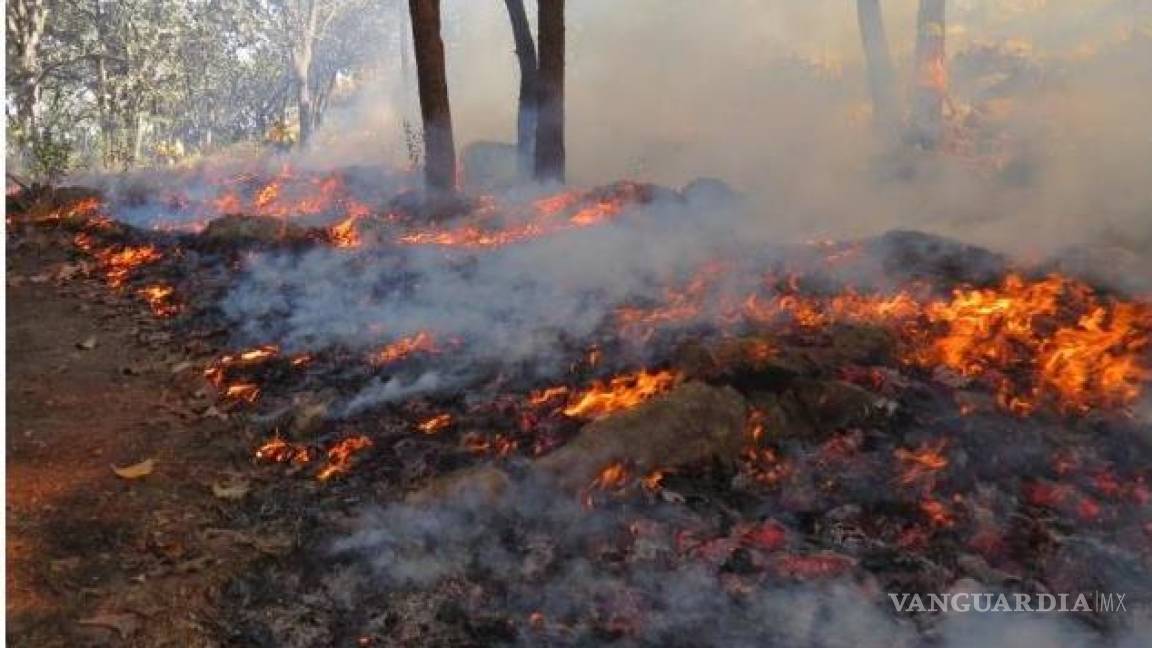 Quemas agrícolas sin control causan uno de cada tres incendios forestales