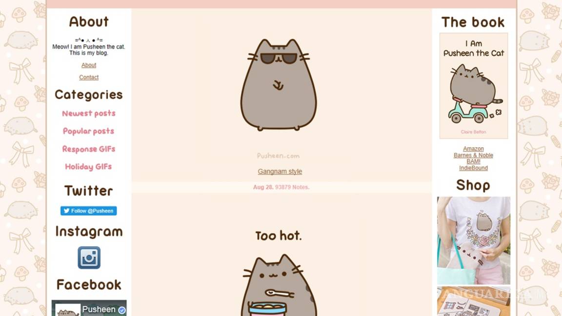 $!Gatos, los reyes de las redes sociales