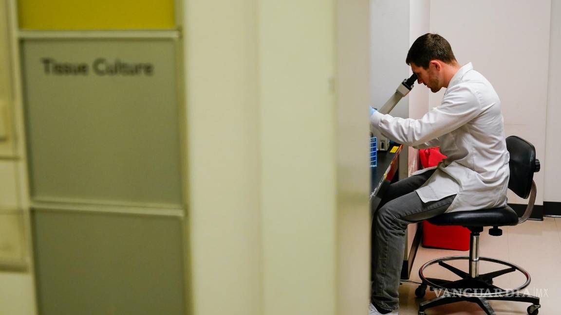 $!El científico investigador Kevin Potts observa las células de cáncer de ovario bajo un microscopio en el Instituto de Vacunas contra el Cáncer de UW Medicine.