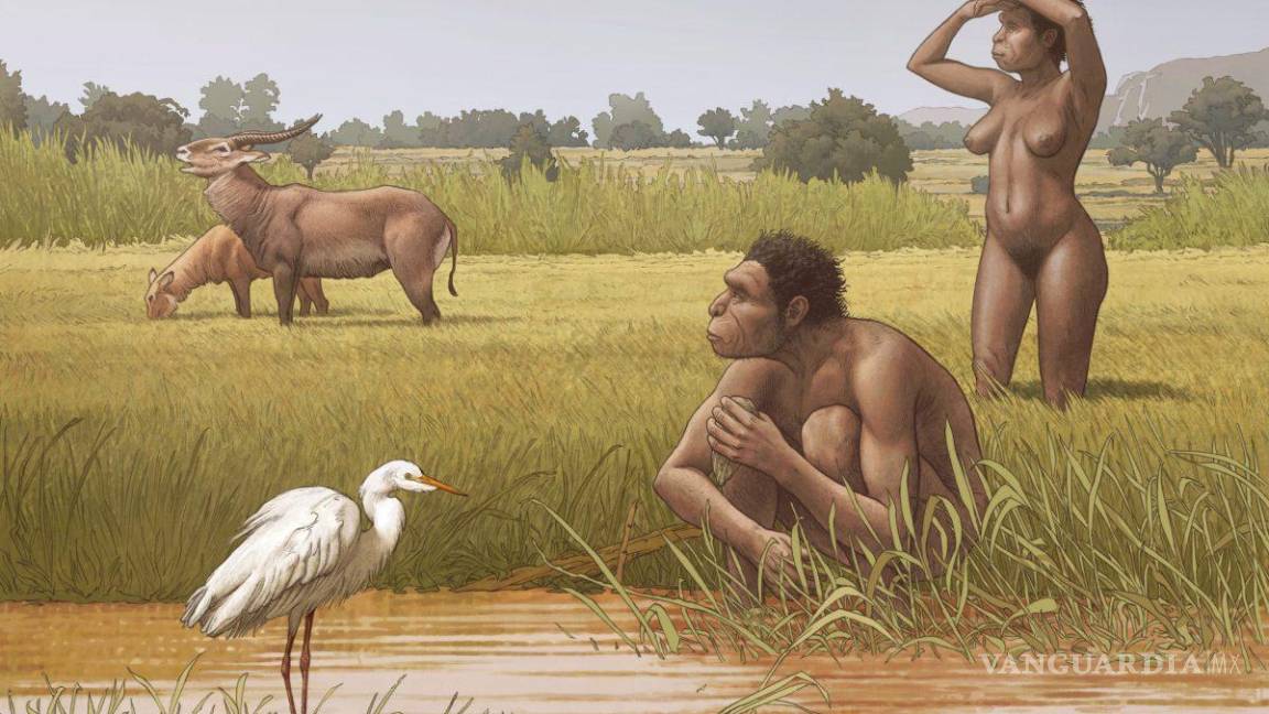 Homo bodoensis, el nombre nuevo para el ancestro humano en África