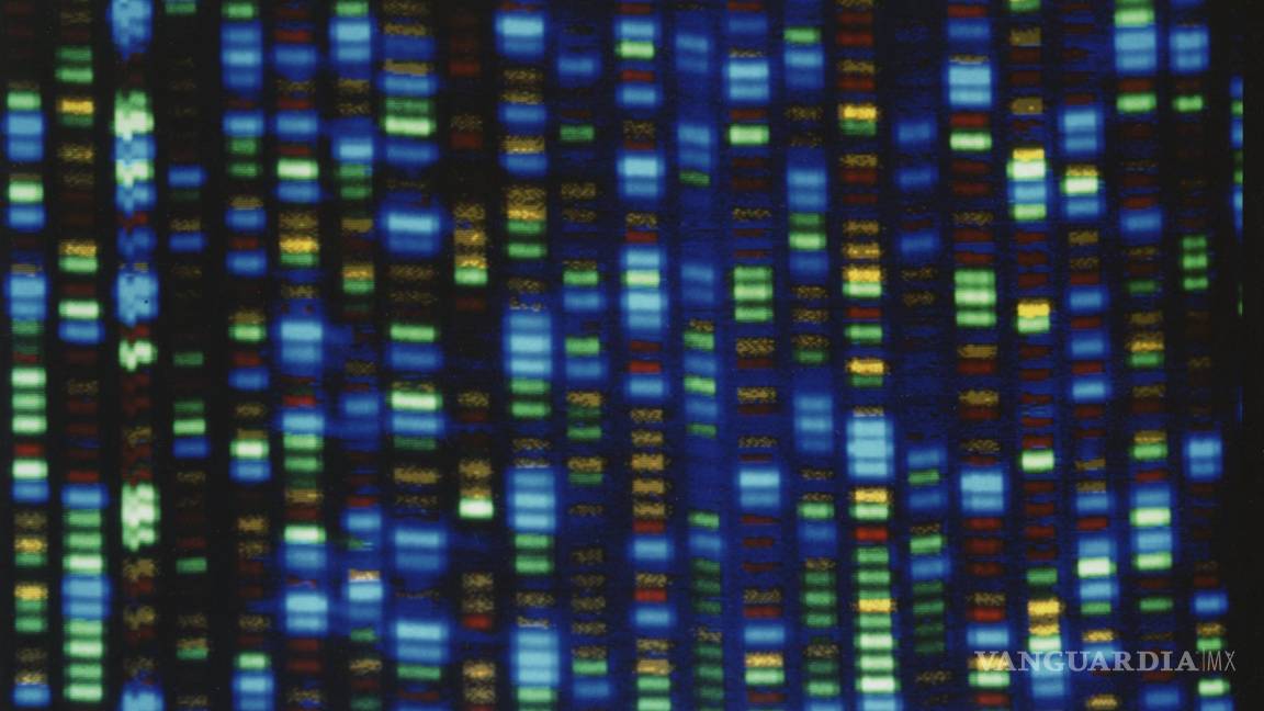 Tu ADN ahora puede ser extraído de la nada. Los expertos en privacidad están preocupados