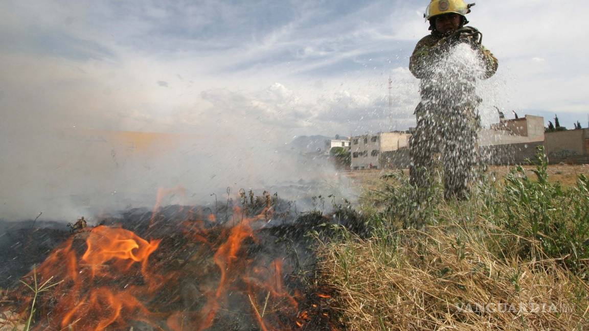 Se registran cuatro incendios en baldíos cada día en Saltillo