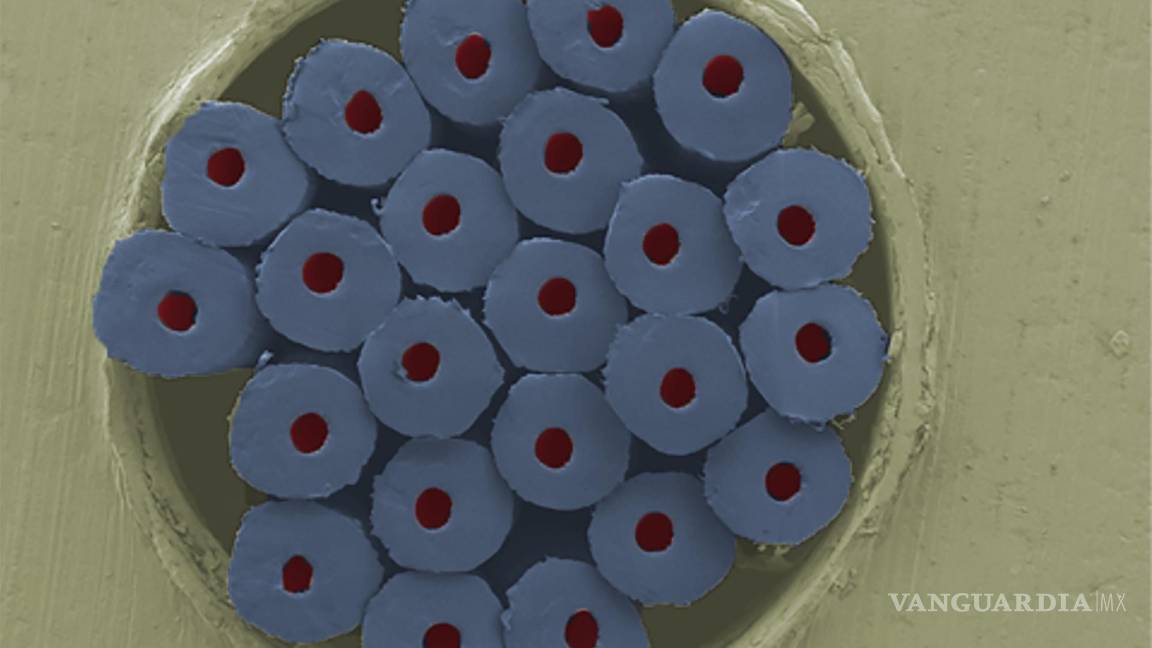 $!Haz de fibras médicas de alrededor de un milímetro de ancho.