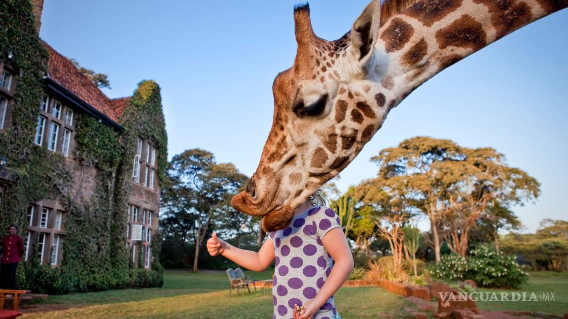 $!Las 10 fotos más espectaculares de National Geographic