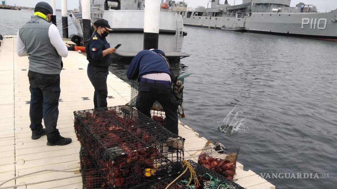 Sanciona Estados Unidos a México por pesca ilegal; restringen acceso a puertos