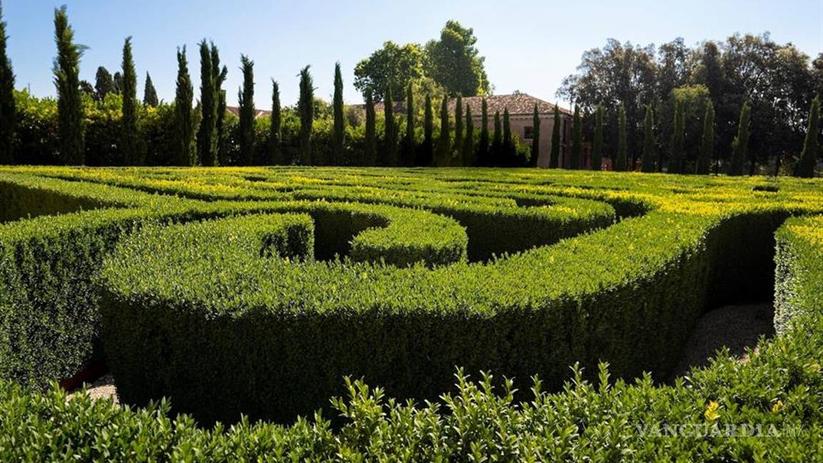 $!Por primera vez abre al público el laberinto dedicado a Jorge Luis Borges en Venecia