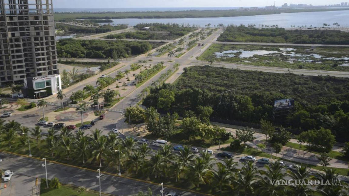 Destruyen más de 90% del manglar Tajamar; asociaciones piden detener las obras