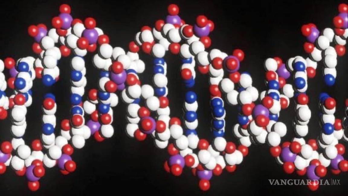 $!Estructura de doble hélice del ADN del genoma humano.