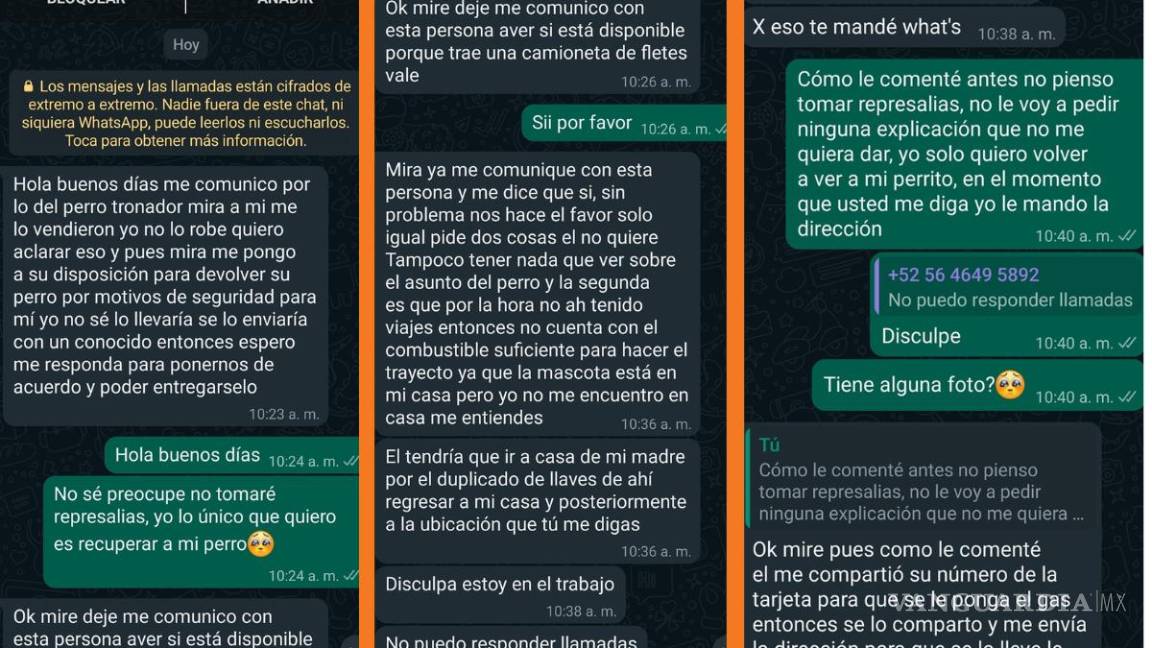 $!Joven saltillense denuncia a presunto estafador, finge rescatar perros y exige rescate para ‘liberarlos’.