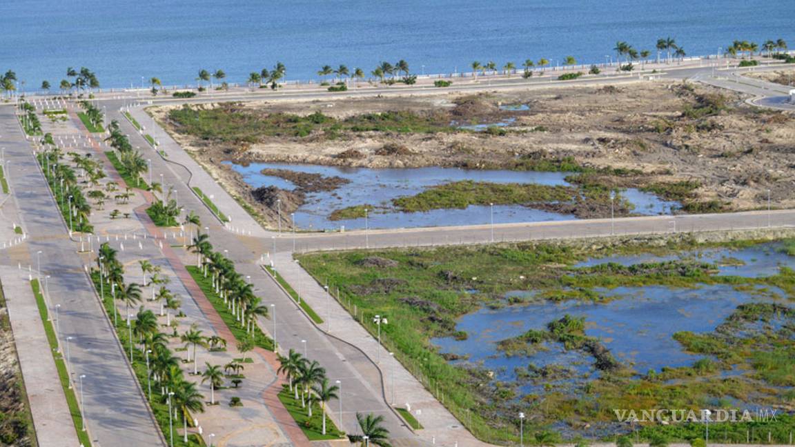 $!Así destruyeron el manglar de Tajamar, en Quintana Roo