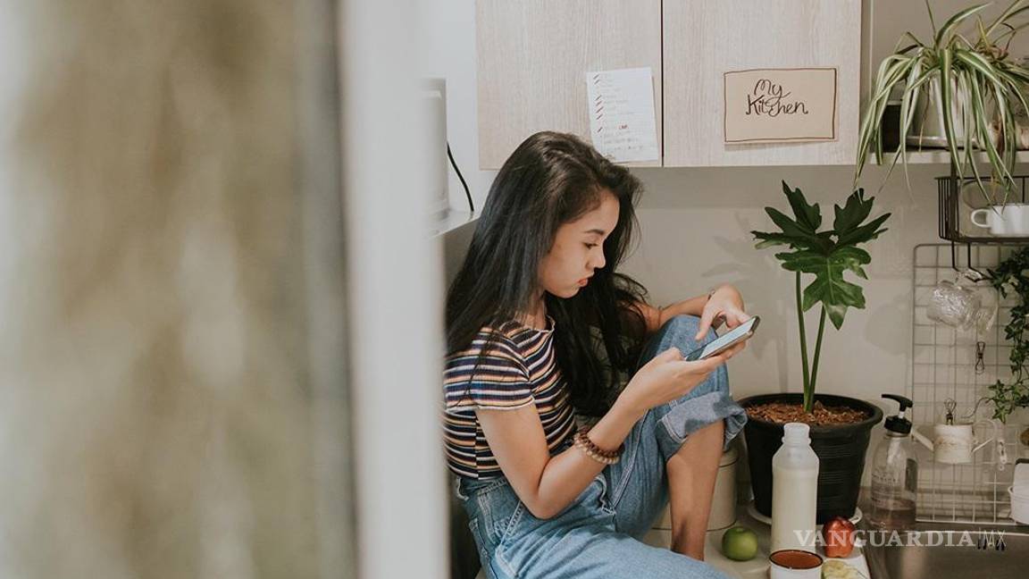 $!El consumo de información y ocio en internet se ha vuelto una parte integral de la vida cotidiana, la mayoría los jóvenes suelen ser las generaciones más conectadas.