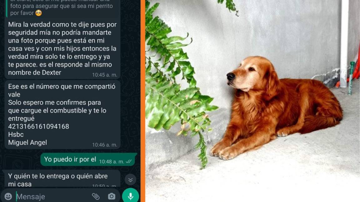 Alertan por ‘secuestrador de perritos’ en Saltillo; piden depósitos para devolver mascotas