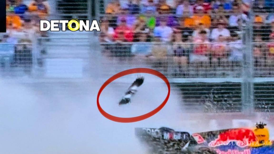 $!Un ave sobrevuela en el Gran Premio de Australia de F1.