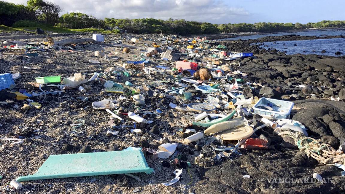 EPA declara 2 playas de Hawai como no aptas por basura