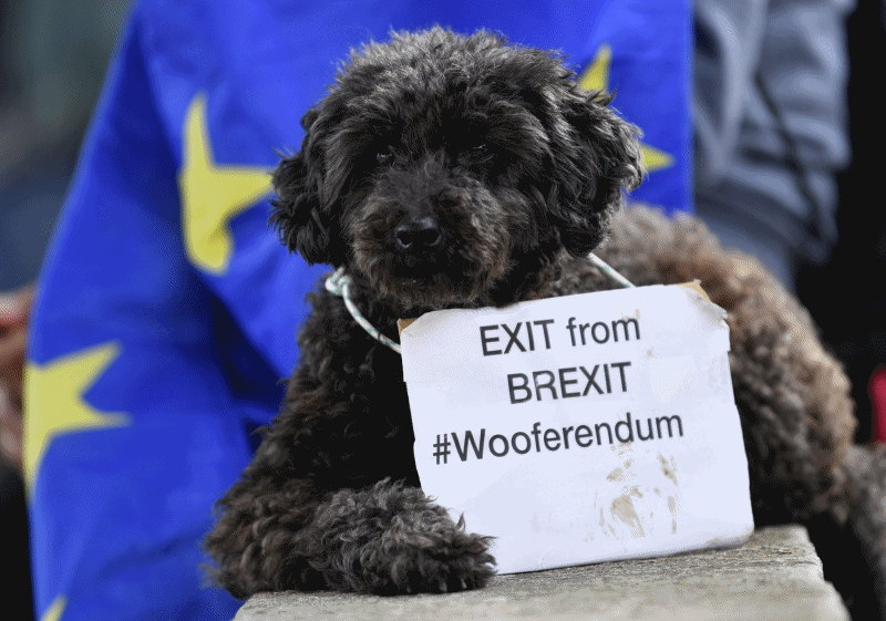 $!Cientos de perros ladran contra el "Brexit" en Londres