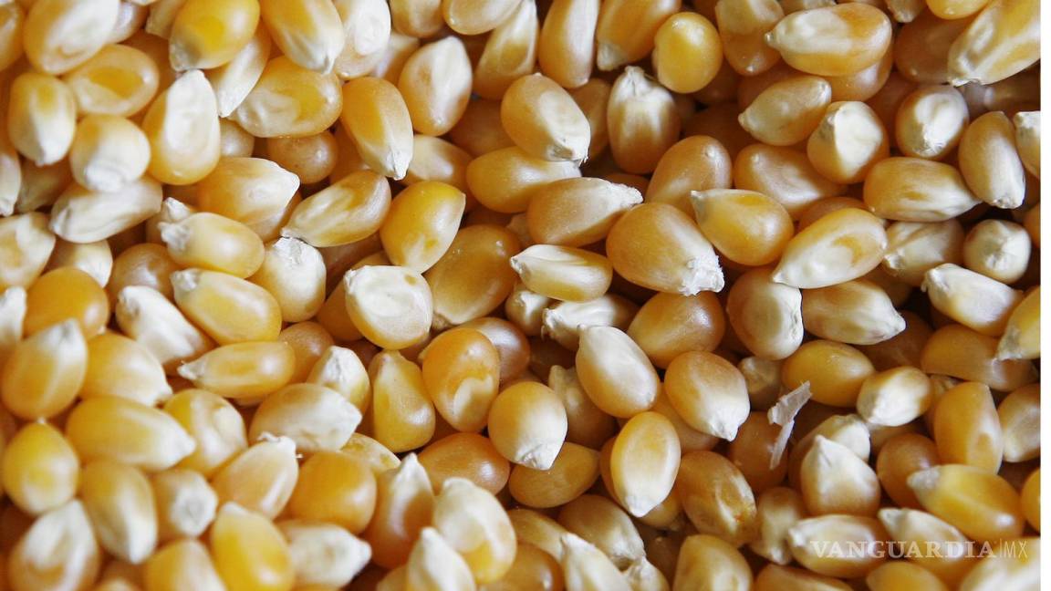 México romperá récord de importaciones de granos en 2023