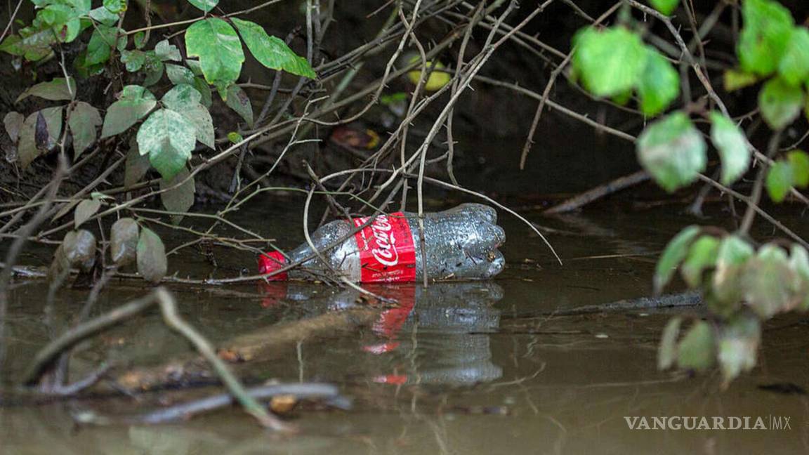 Coca-Cola, Pepsi, Unilever y Nestlé son las empresas que más contaminación con plásticos