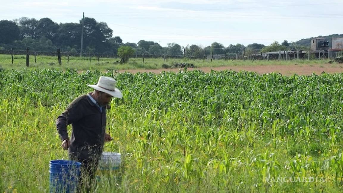 Conagua regaló 31% del agua a Femsa, Nestlé, Bachoco, Heineken y Pepsi; 66.6% del territorio sufre sequía