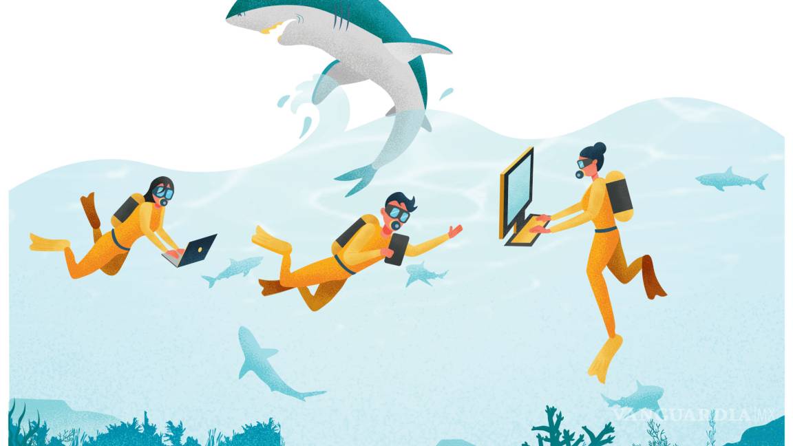 Internautas inexpertos: negocio de cibercriminales: Navegar en internet es como nadar con tiburones