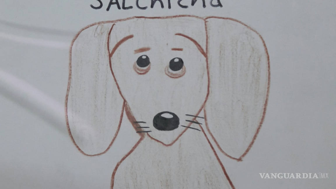 Niño dibuja a su perrita salchicha y pide ayuda para encontrarla