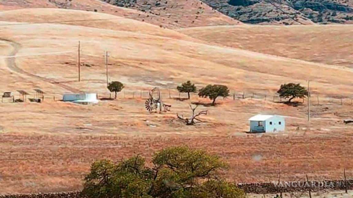 $!Encuentran llamas, bisontes y jabalíes en ranchos incautados a César Duarte