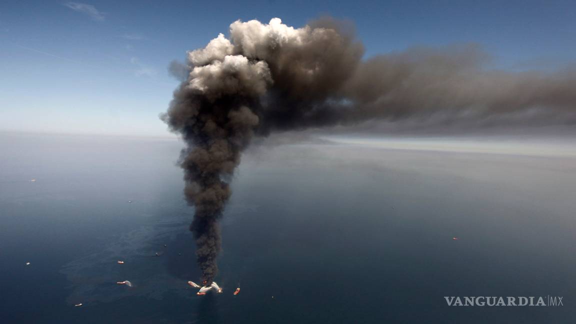 $!A 10 años de la explosión de la plataforma Deepwater Horizon la vida silvestre del Golfo de México sigue siendo afectada