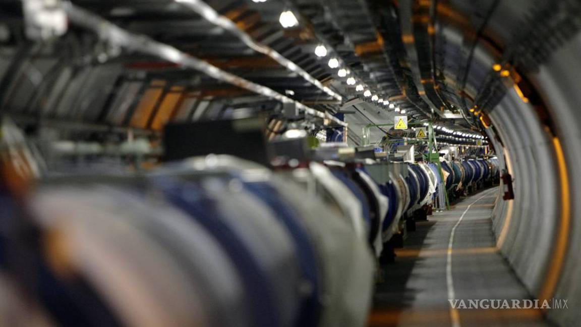 Una comadreja paraliza el acelerador de partículas del CERN