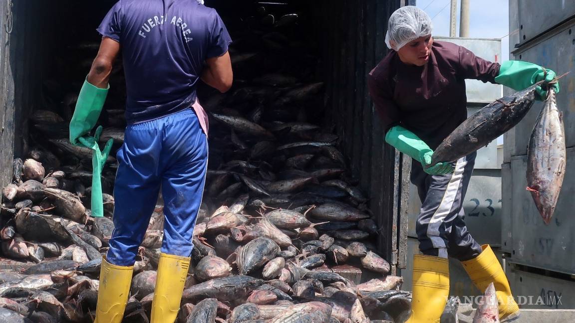 $!¿Sabias que las partes más nutritivas del pescado terminan en la basura?