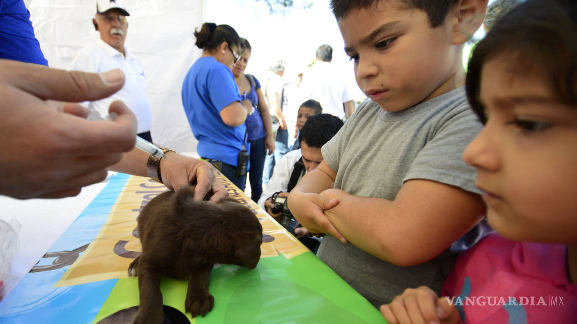 Anuncian campaña de vacunación gratuita de mascotas en Saltillo