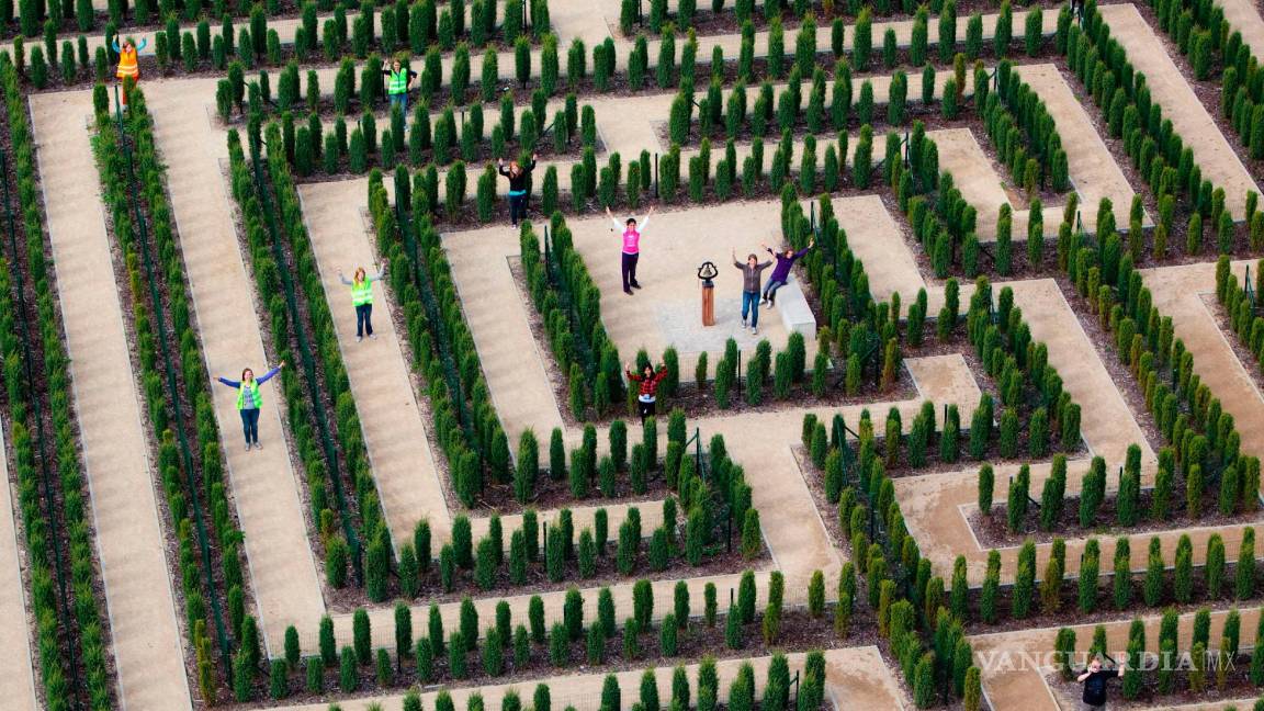 $!Todo el mundo sueña y soñamos, en general, pero no recordamos todos.