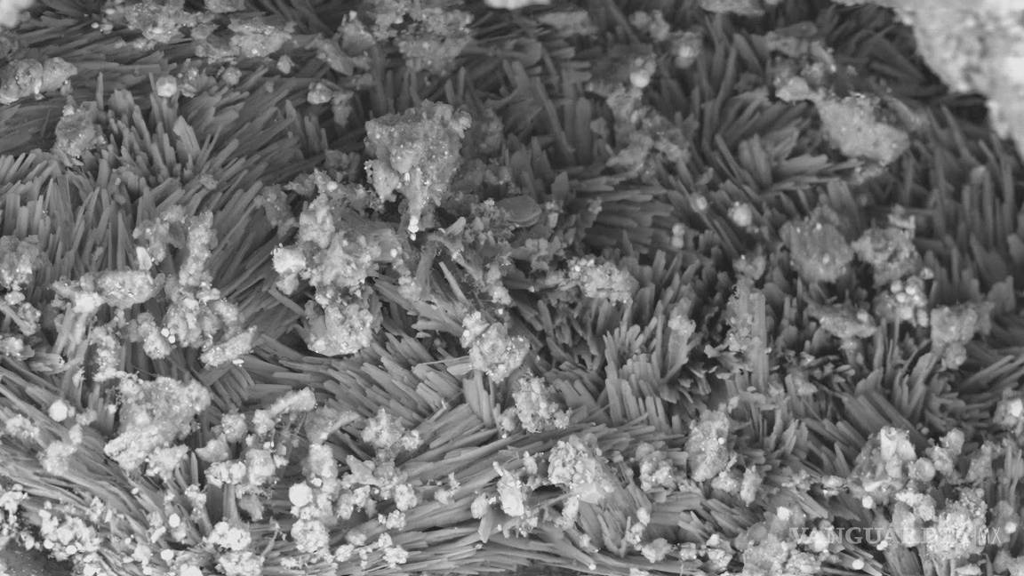 $!Esta es una imagen de microscopio electrónico de barrido de las agujas cristalinas de carbonato de sodio encontradas en muestras del asteroide Bennu.
