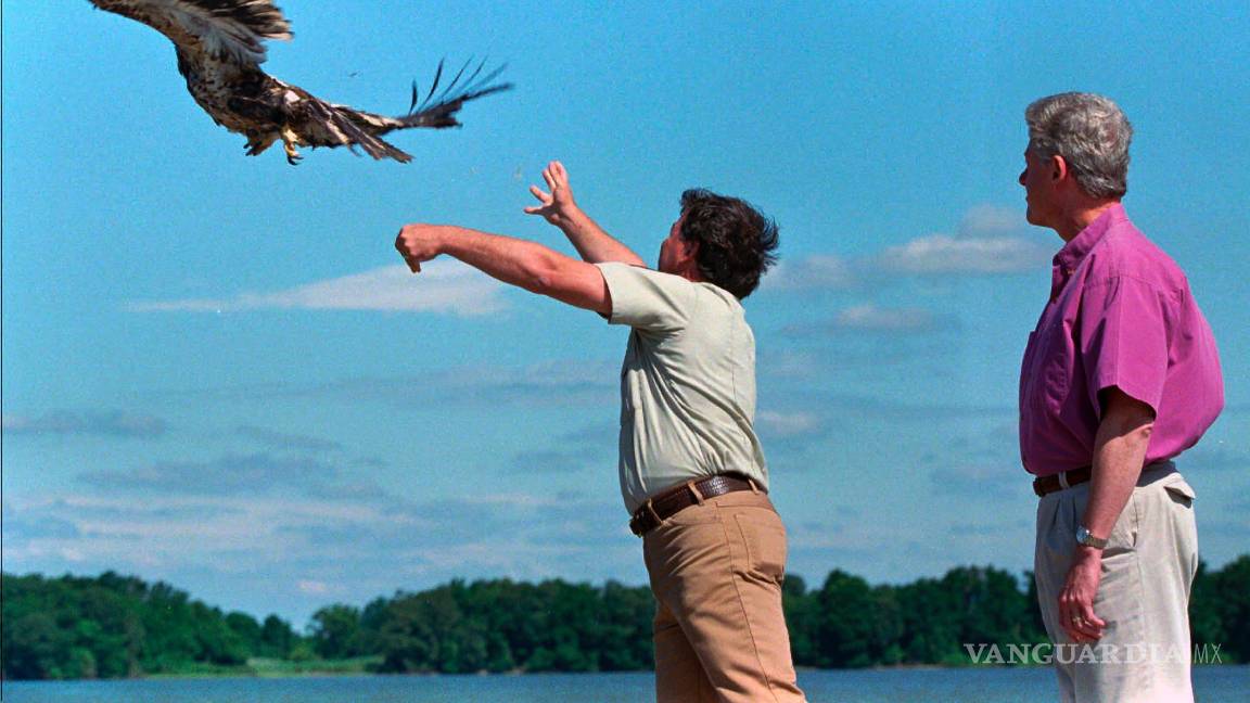 $!El presidente Bill Clinton observa cómo el biólogo estadounidense Craig Koppe libera a una joven águila calva estadounidense llamada Freedom el julio 4 de 1996.