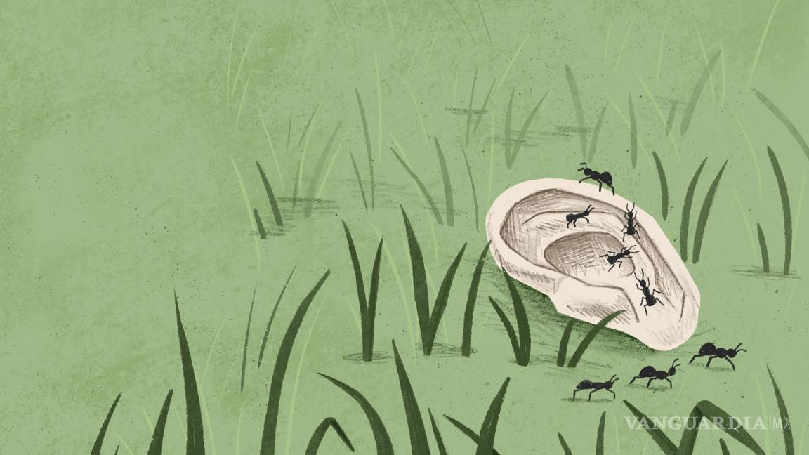 $!David Lynch fue un maestro en utilizar lo siniestro. En sus filmes muestra un barrio residencial perfecto, mientras que en el césped aparece una oreja humana”, según Díaz.