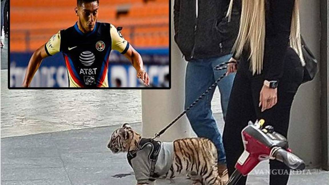 Mujer que paseó Tigre es pareja de futbolista del América