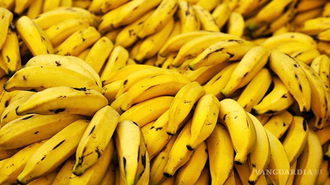 $!El café, chocolate, jarabe de maple y otros ingredientes desaparecerían por el cambio climático