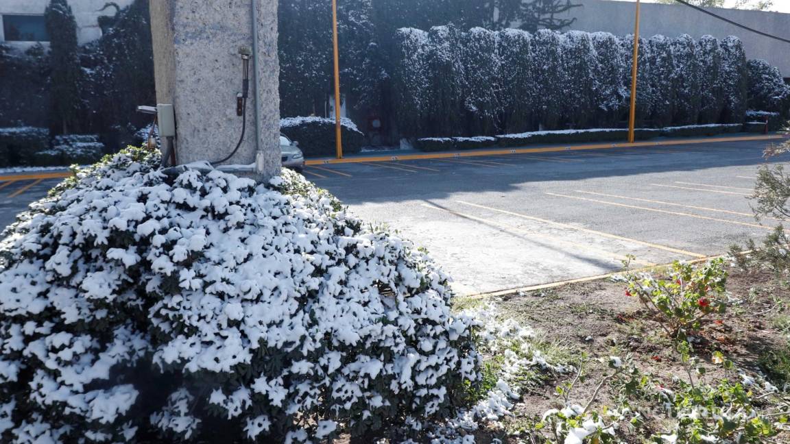 Continuará onda gélida sobre Coahuila; hasta el miércoles habrá cambios en el clima