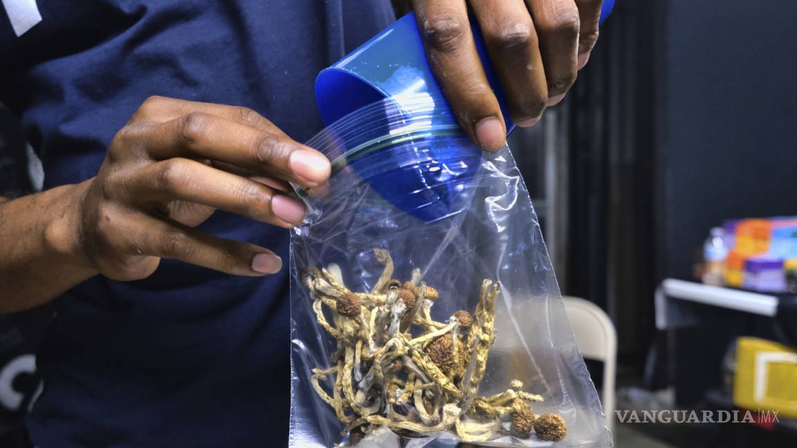 Oakland, segunda ciudad de Estados Unidos en despenalizar los hongos alucinógenos