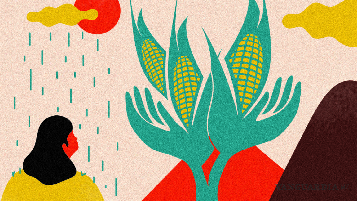 Hermanamiento en la tierra del maíz