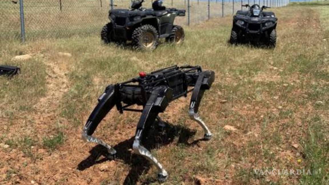 $!Estos perros tecnológicos se diseñaron con base en entrenamientos en escenarios simulados de situaciones de peligro.