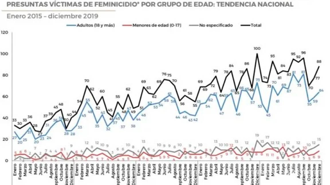 $!No solo es Fátima, cada mes matan a doce niñas en México