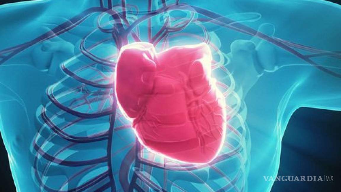 ¿Qué es un soplo de corazón? Síntomas y tratamientos