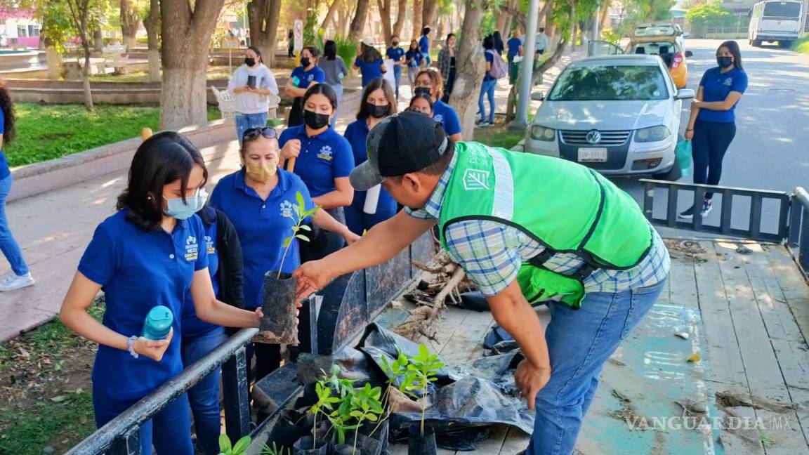 Involucran a ciudadanos de Torreón en acciones de reforestación