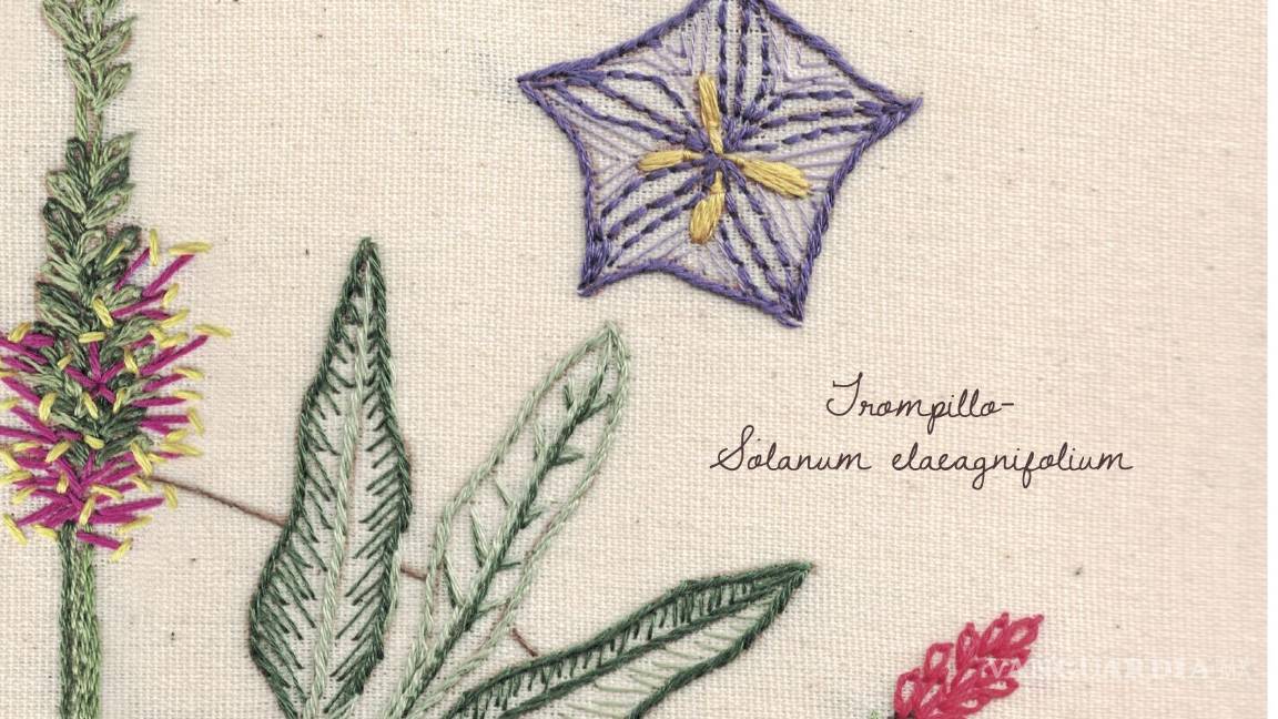 $!Las plantas nativas de Saltillo ilustran el póster (tejido) del aniversario 448 de la ciudad