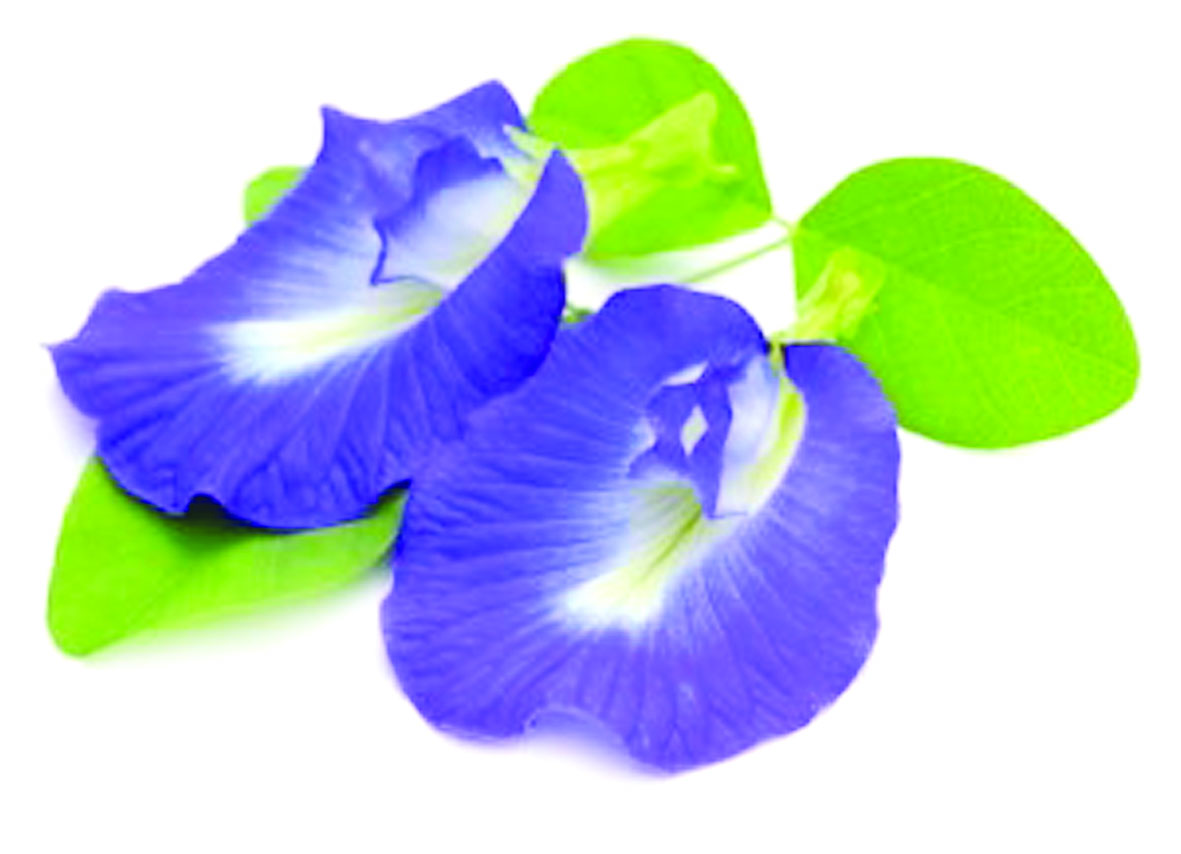 $!Así era don Erasmo