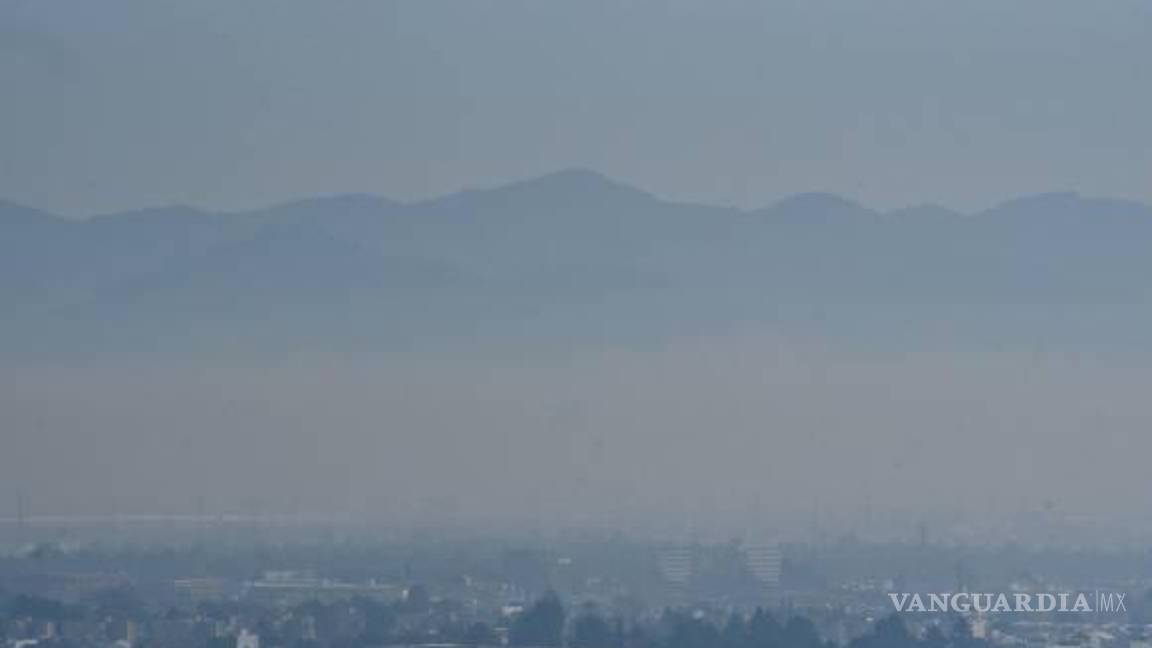 $!En lo que va del año, la gran mayoría de los días se ha reportado al menos una mala calidad del aire.