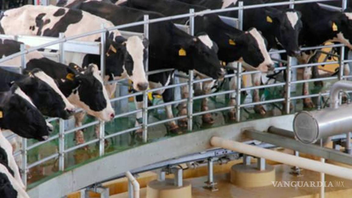 $!Productores de la localidad consideran que por ahora se encuentran cubiertos con el ciclo de riego.