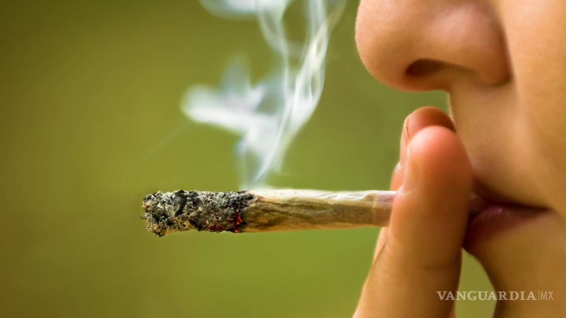 Aprueba el Senado canadiense la legalización de la marihuana