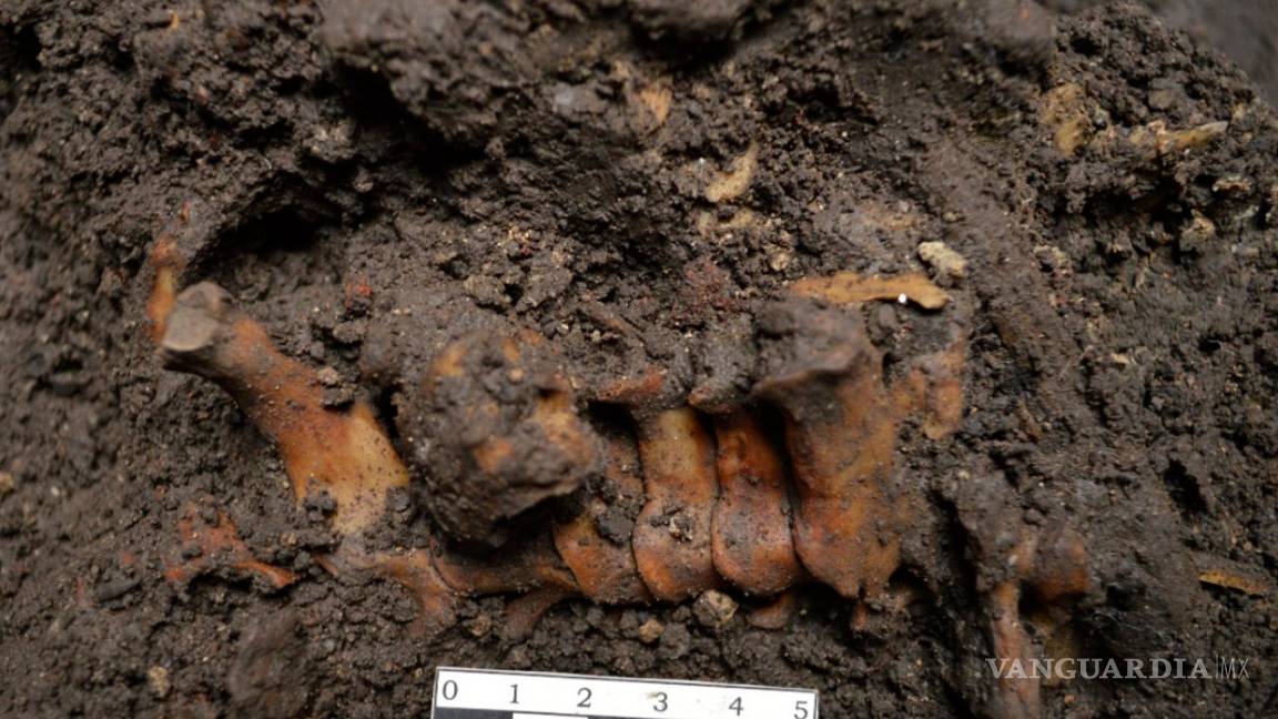 $!Encuentran restos de principal cancha de juego de pelota de Tenochtitlan