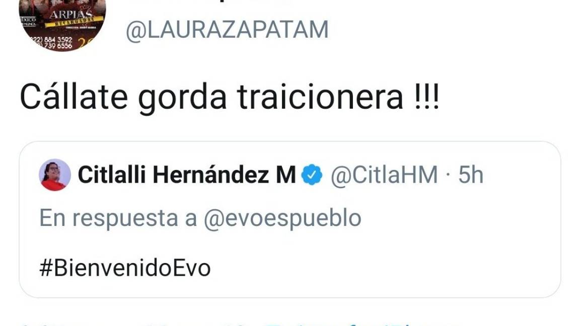 ¡Gorda traicionera!, Laura Zapata enloquece contra Citlalli Hernández, Senadora de Morena