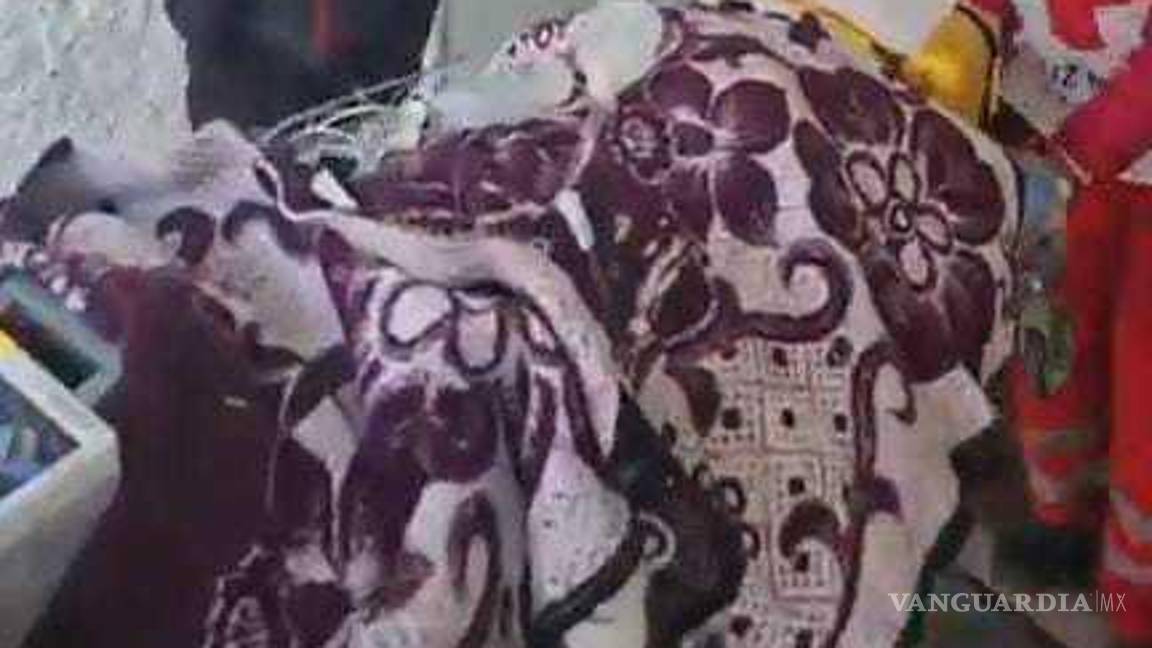 $!El conductor del tráiler huyó tras embestir a la víctima, dejando la escena sin auxilio.